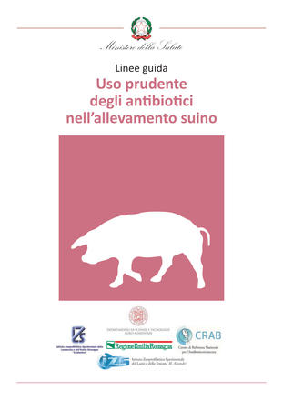Uso prudente degli antibiotici nell’allevamento suino