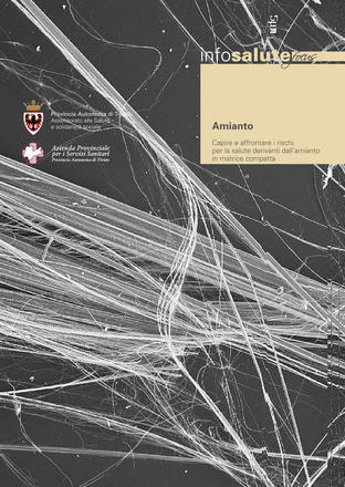 Amianto. Capire e affrontare i rischi per la salute derivanti dall’amianto in matrice compatta