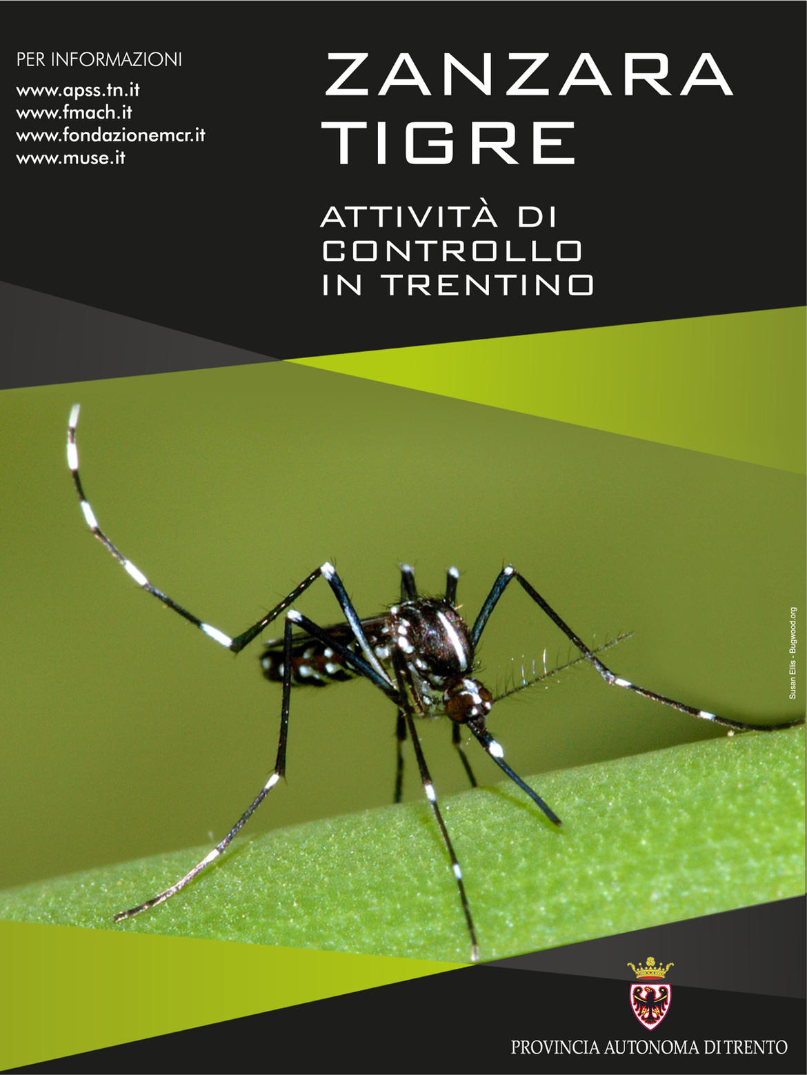 Zanzara tigre. Attività di controllo in Trentino Trentino Salute Zanzara tigre. Attività di controllo in Trentino Trentino Salute